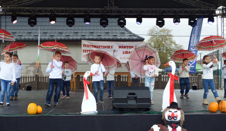 XIII. Svätomartinský festival a jarmok domácich produktov LibaGaliba 2025