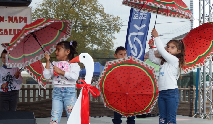 XIII. Svätomartinský festival a jarmok domácich produktov LibaGaliba 2025