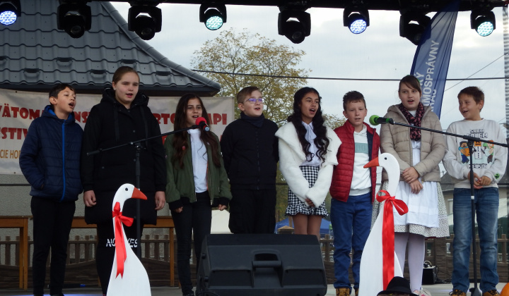 XIII. Svätomartinský festival a jarmok domácich produktov LibaGaliba 2025