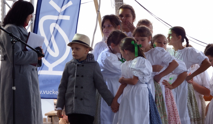 XIII. Svätomartinský festival a jarmok domácich produktov LibaGaliba 2025