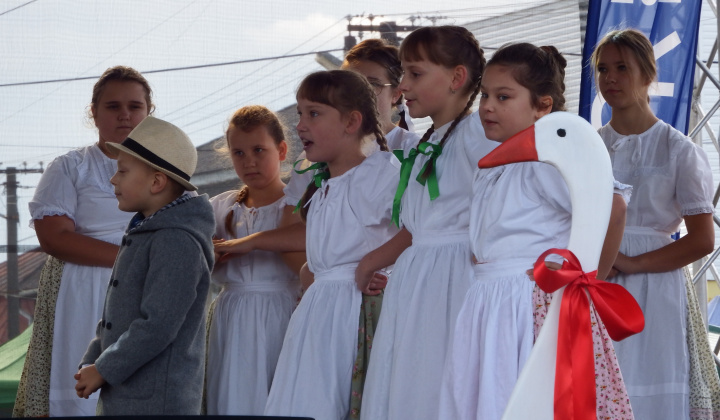 XIII. Svätomartinský festival a jarmok domácich produktov LibaGaliba 2025