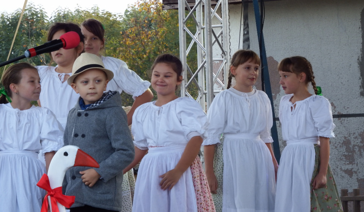 XIII. Svätomartinský festival a jarmok domácich produktov LibaGaliba 2025