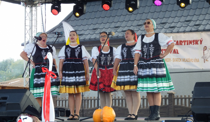 XIII. Svätomartinský festival a jarmok domácich produktov LibaGaliba 2025