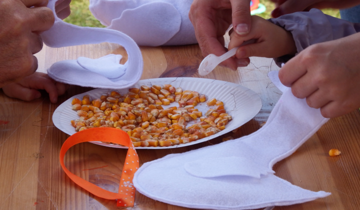 XIII. Svätomartinský festival a jarmok domácich produktov LibaGaliba 2025