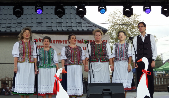 XIII. Svätomartinský festival a jarmok domácich produktov LibaGaliba 2025