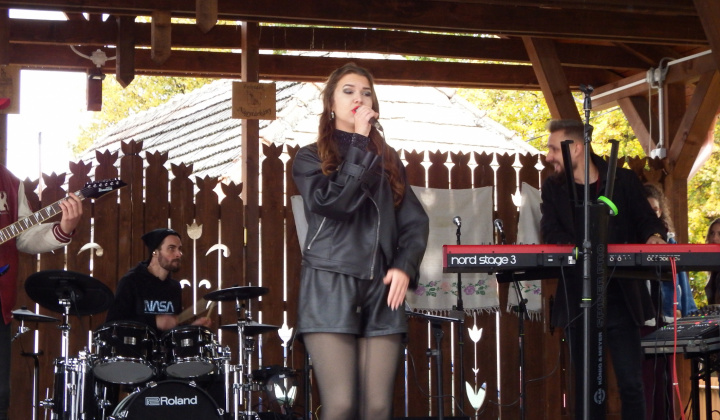 XIII. Svätomartinský festival a jarmok domácich produktov LibaGaliba 2025