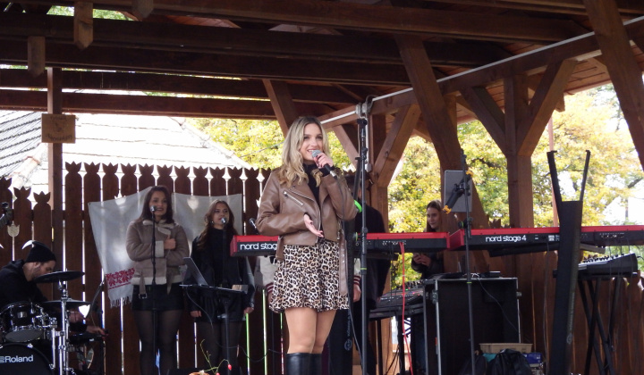 XIII. Svätomartinský festival a jarmok domácich produktov LibaGaliba 2025