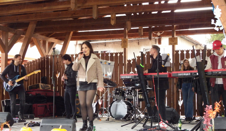 XIII. Svätomartinský festival a jarmok domácich produktov LibaGaliba 2025