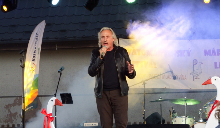 XIII. Svätomartinský festival a jarmok domácich produktov LibaGaliba 2025