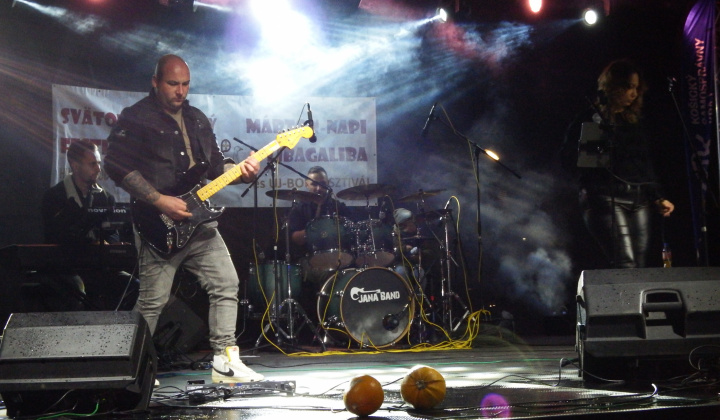 XIII. Svätomartinský festival a jarmok domácich produktov LibaGaliba 2025