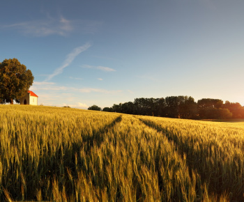 Gyermeknap