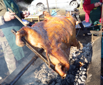 Preventívne opatrenia na zamedzenie šírenia koronavrusu na území