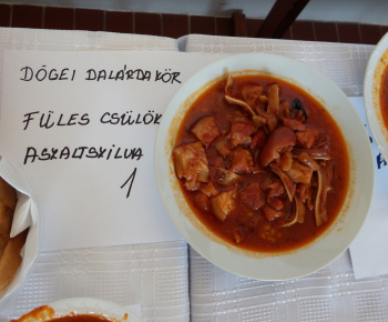 Családi Nap