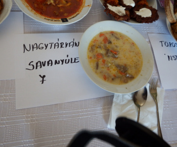 Családi Nap