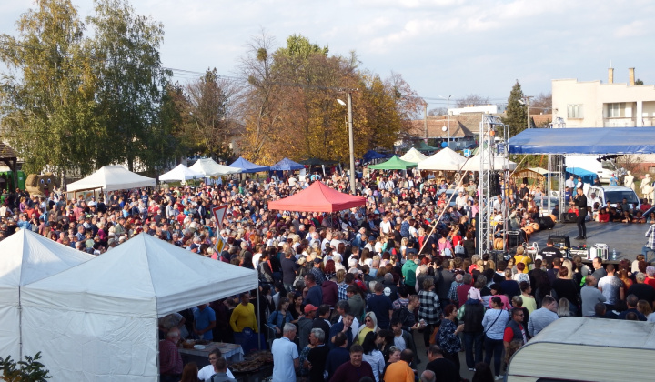 IX. LIBAGALIBA - HUSACIE HODY 2019