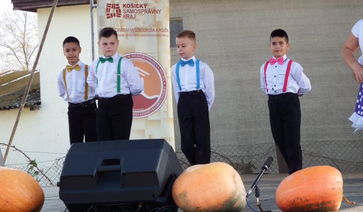 IX. LIBAGALIBA - HUSACIE HODY 2019