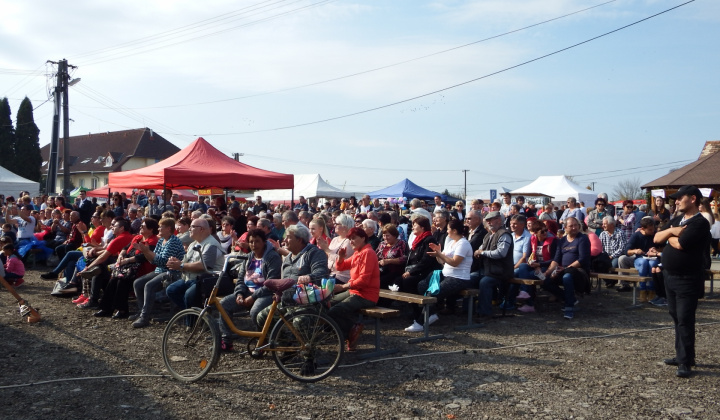 IX. LIBAGALIBA - HUSACIE HODY 2019