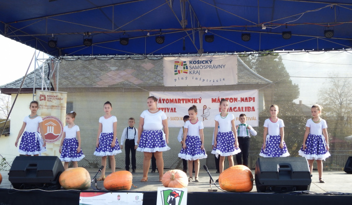 IX. LIBAGALIBA - HUSACIE HODY 2019