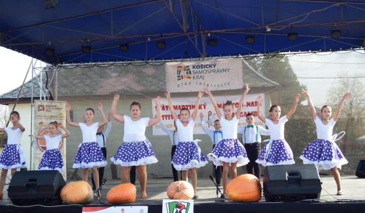 IX. LIBAGALIBA - HUSACIE HODY 2019