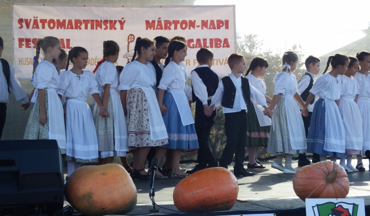 IX. LIBAGALIBA - HUSACIE HODY 2019