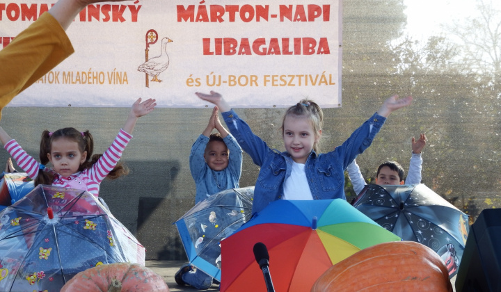 IX. LIBAGALIBA - HUSACIE HODY 2019