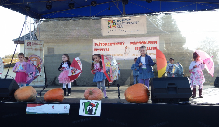 IX. LIBAGALIBA - HUSACIE HODY 2019