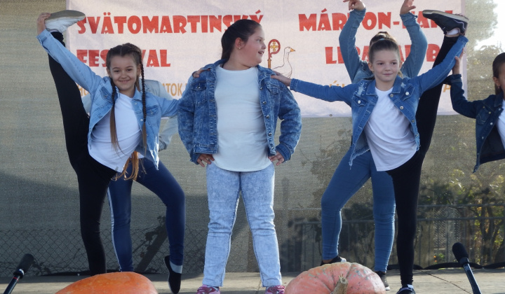 IX. LIBAGALIBA - HUSACIE HODY 2019