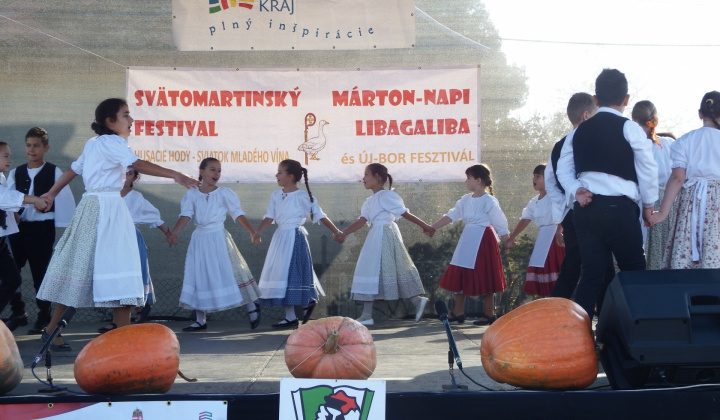 IX. LIBAGALIBA - HUSACIE HODY 2019