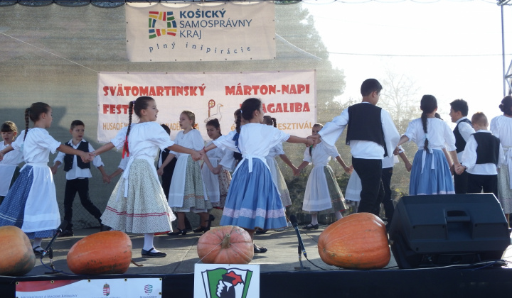IX. LIBAGALIBA - HUSACIE HODY 2019