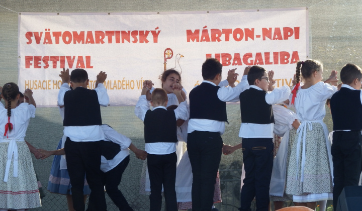 IX. LIBAGALIBA - HUSACIE HODY 2019