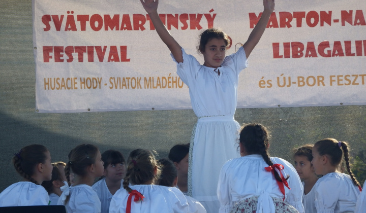 IX. LIBAGALIBA - HUSACIE HODY 2019