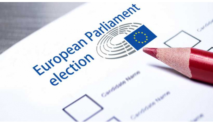 Voľby do Európskeho parlamentu na území Slovenskej republiky- Európai parlamenti választás